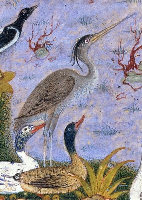 remote_image_4bd644ec91