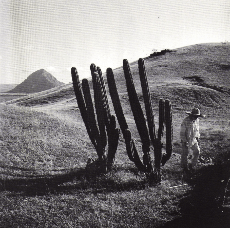 da8282f9c5daaa4c4d3ac0dbb9b9e556