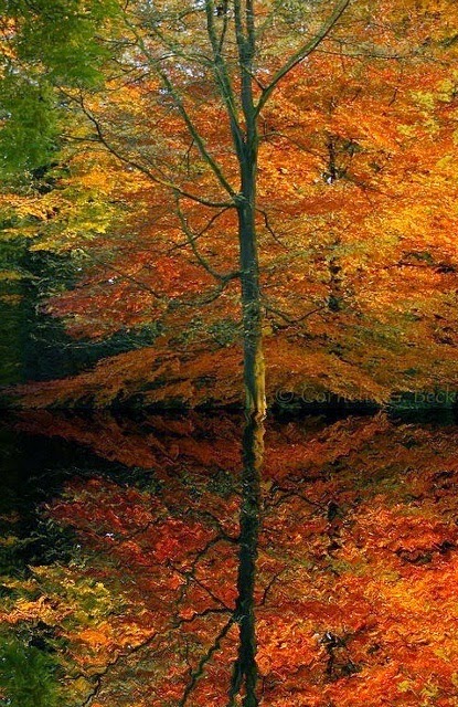 b4be94ff06e8f5204ecd07fc8220bfe4