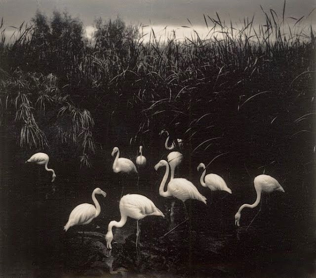 e8cf7b3a260cbd1d980aa711b6730d8f