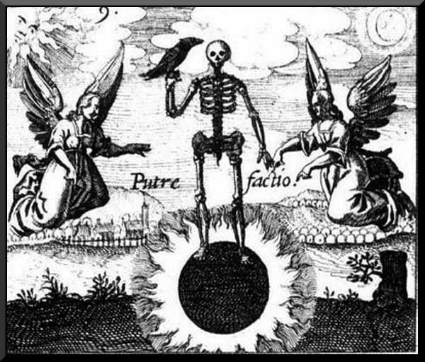 527136_249314078505023_1884554193_n