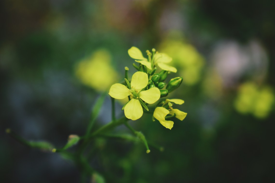 Processed with VSCO with 4 preset